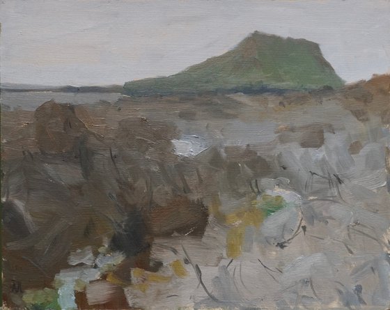 Rocky Shoreline, Wales