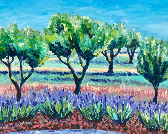 Lavender and Olive trees