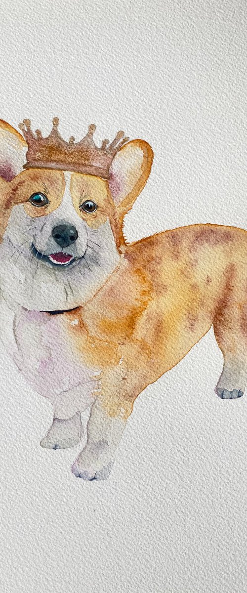 Corgi watercolour painting. In loving memory by Bethany Taylor