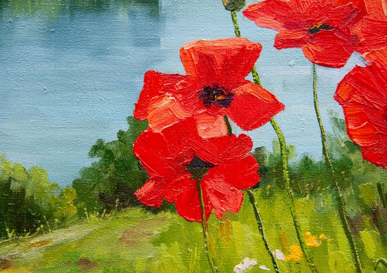 Field of poppies.