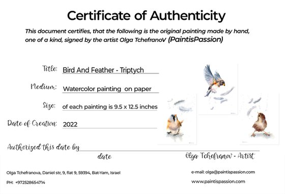 Birds And Feathers - triptych