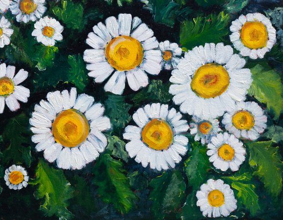 White Daisies