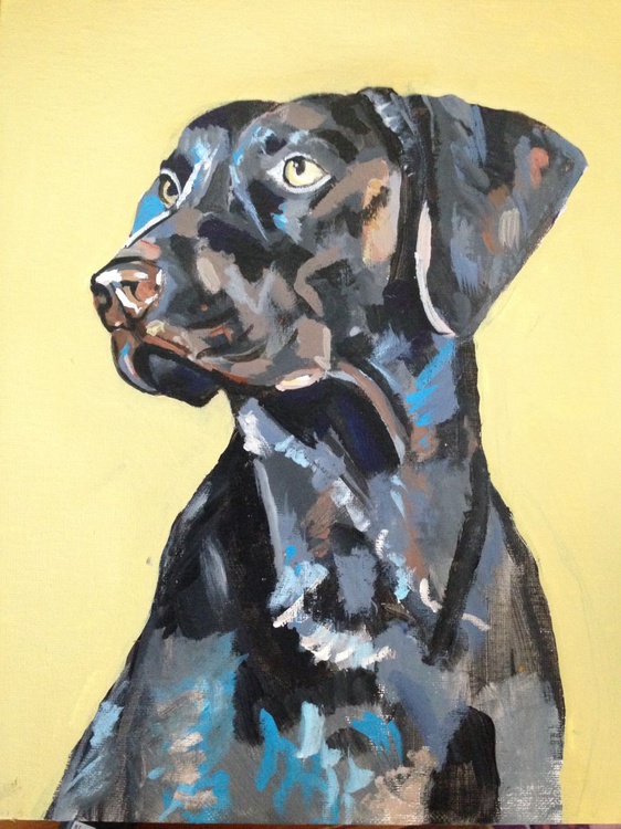 Abstract Dog Painting By Clayton Hosmann Artfinder