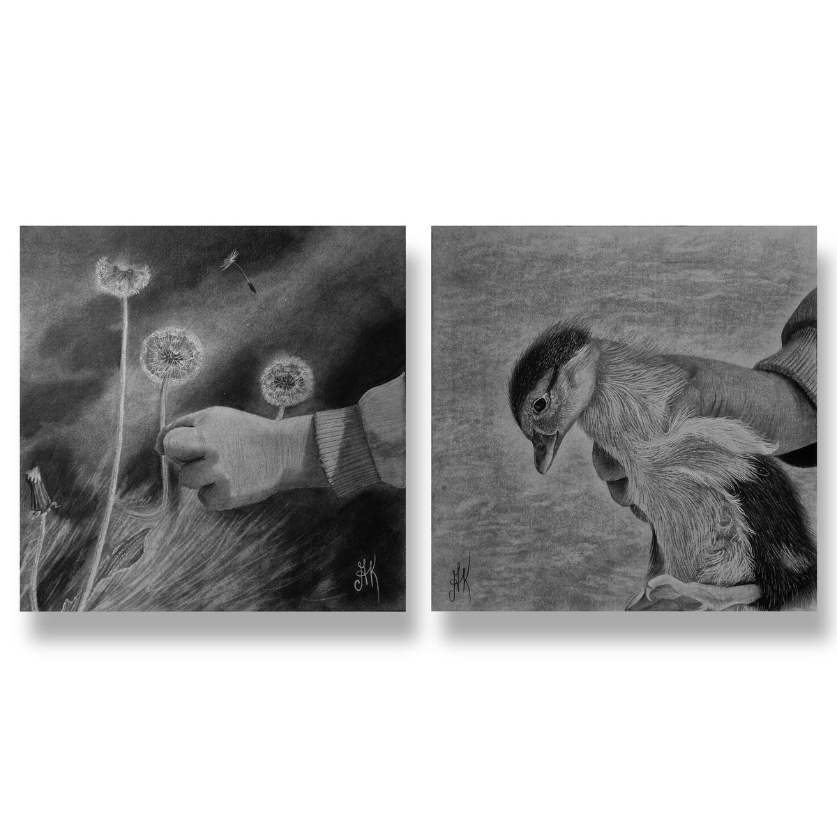 Graphic Pencil Drawing , - Gentle Touch - ? By Kateryna Kostyk, 8 X 8, Artwork For Sale On Artfinder