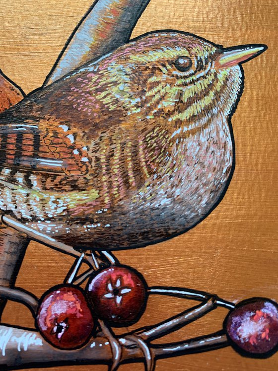 British Garden Birds series - Wren