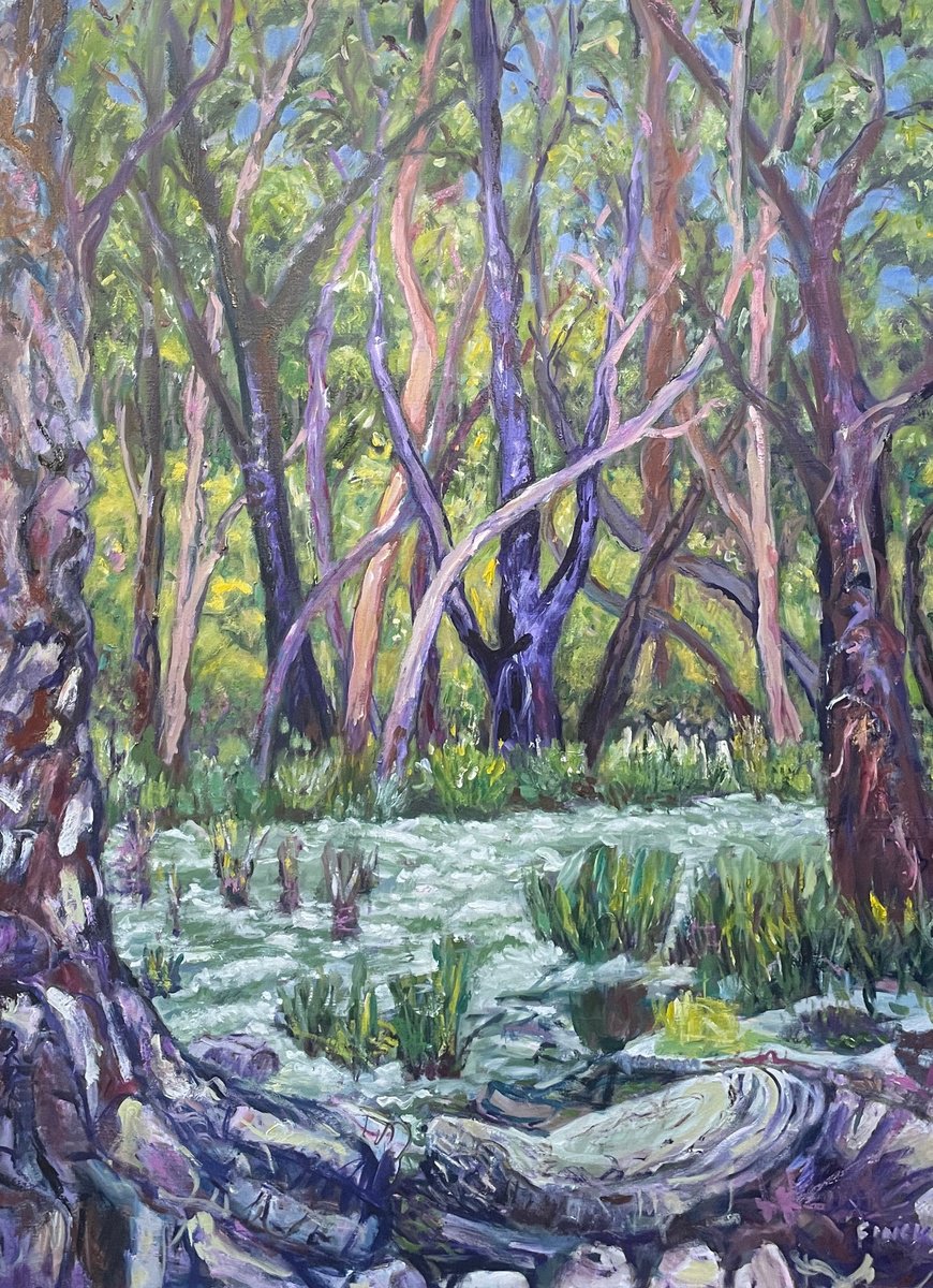 Gum Trees By The Creek By Maureen Finck, 30 X 40, Artwork For Sale On Artfinder