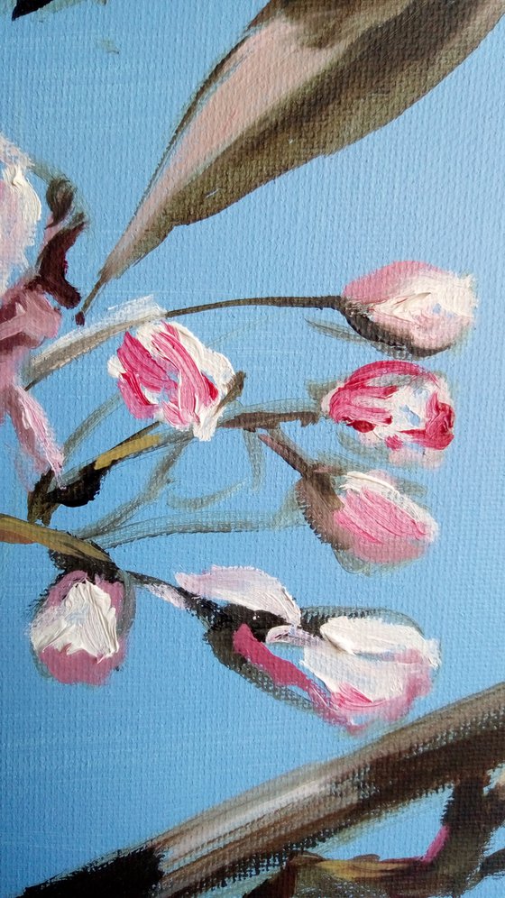Blooming sakura, oil painting, original oil cherry blossom painting