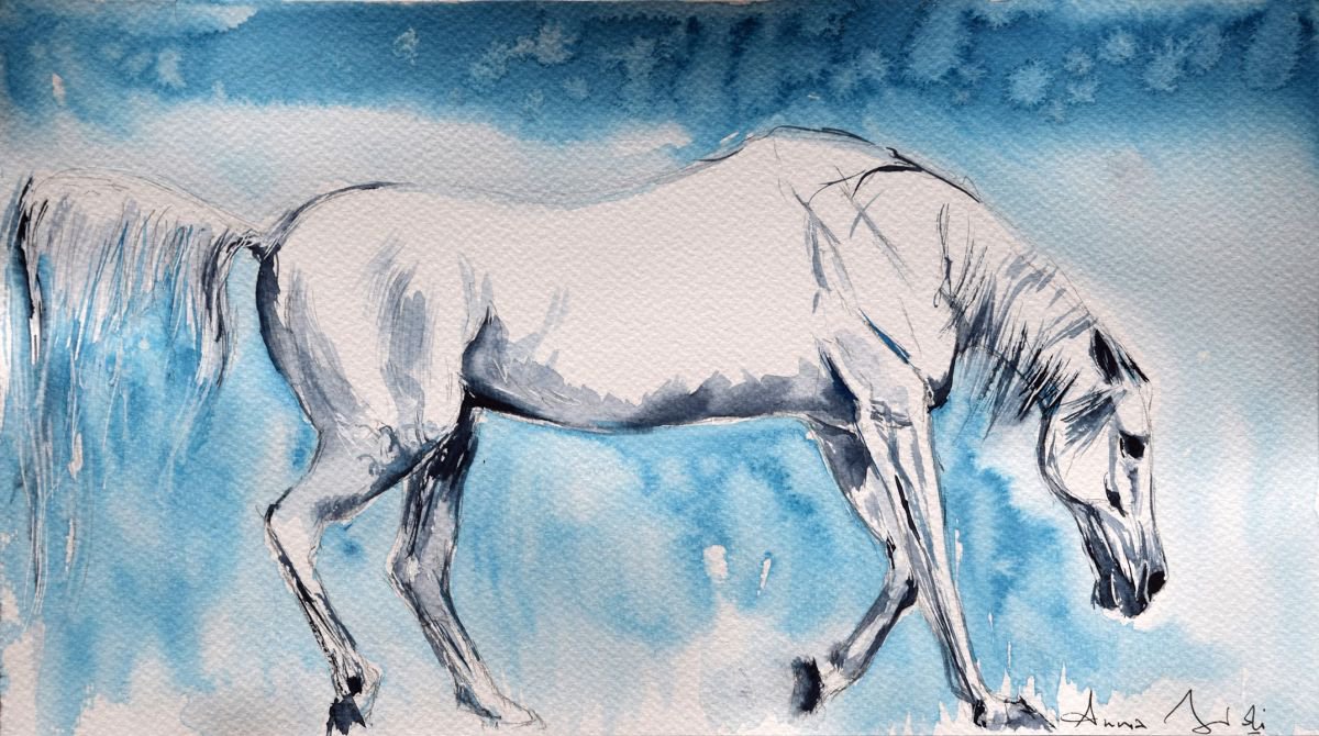 White on blue / Equine Horse  Art  Modern Contemporary Wall Art Home Decor  by Anna Sidi by Anna Sidi-Yacoub