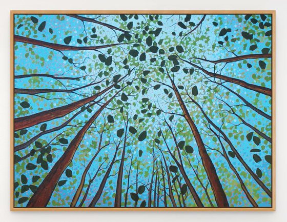 Canopy