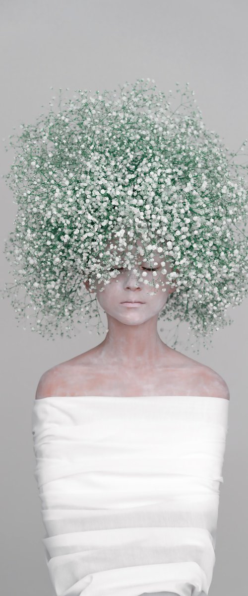 COCOON by Anastasia AS