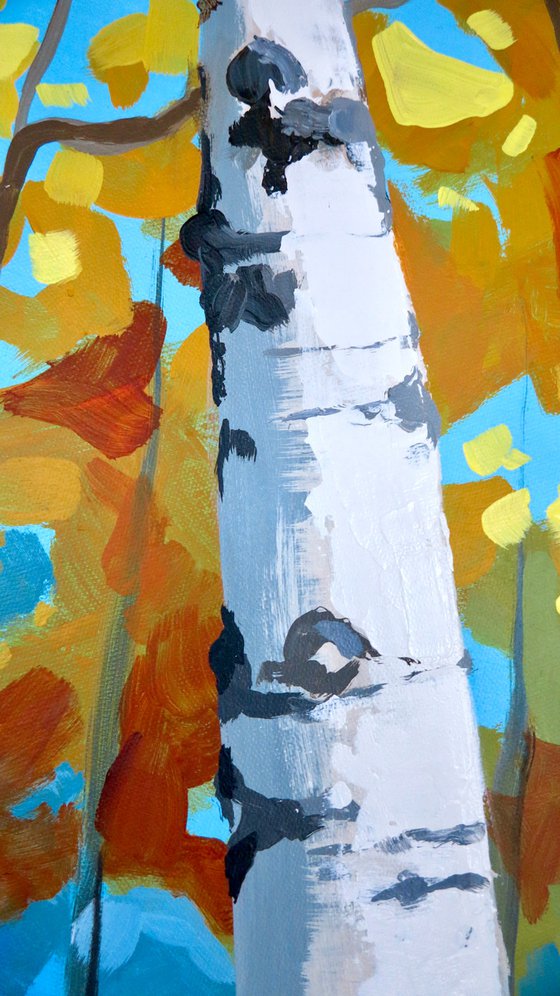 Silver birch under blue sky