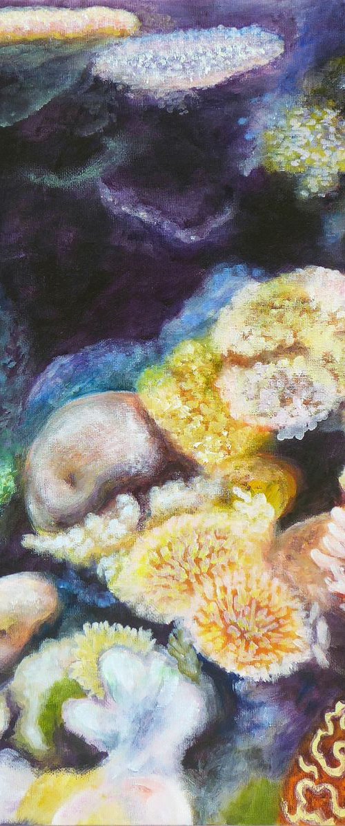 Coral Reef 2 by Jacqueline Talbot