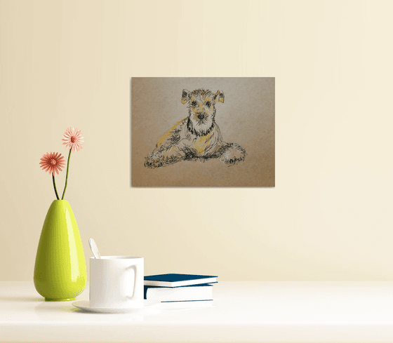 Wire Fox Terrier drawing