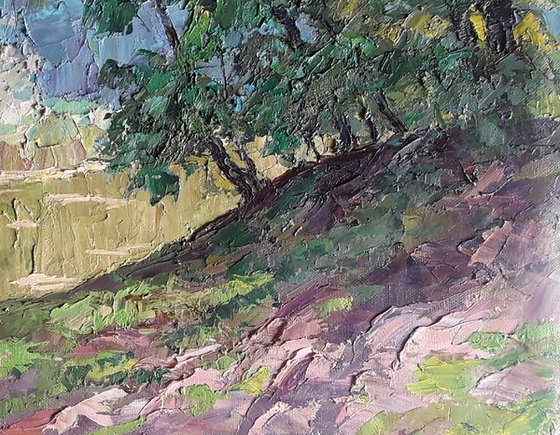 Shore in the forest