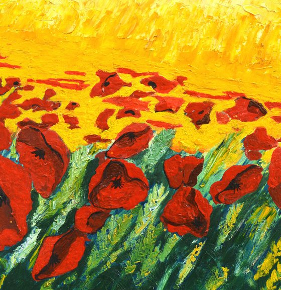 Red poppies in the sun