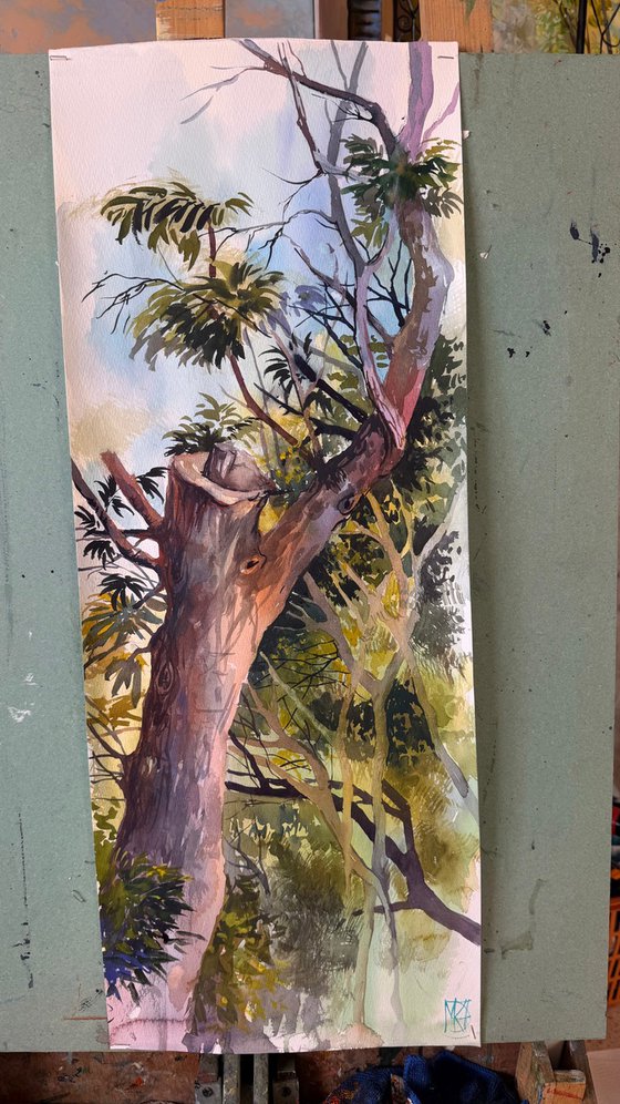 Light Between Branches