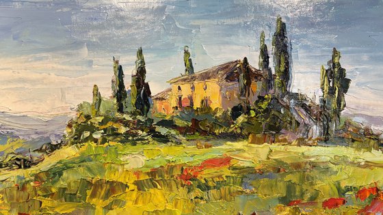 "Poppies of Tuscany.Sunny day."