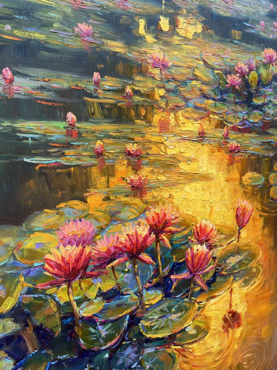 "Water lilies"