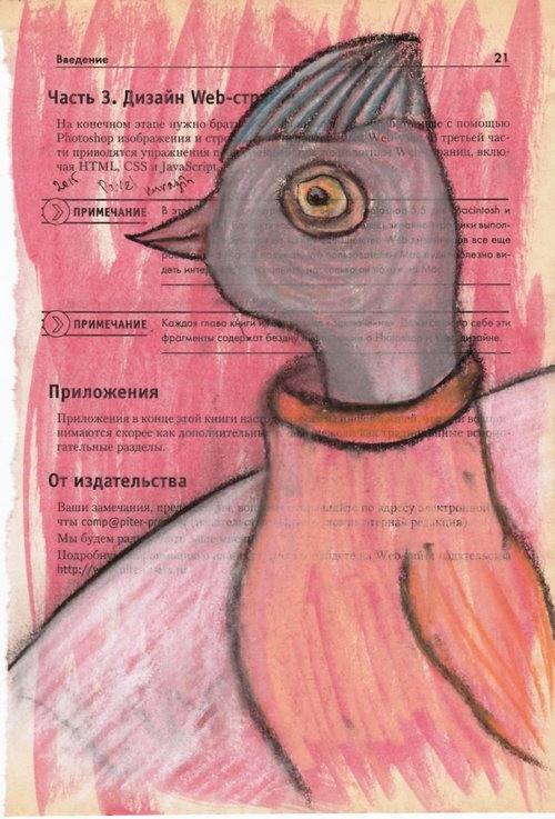 Hungry bird 2 by Pavel Kuragin