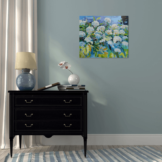 "  Hydrangea "