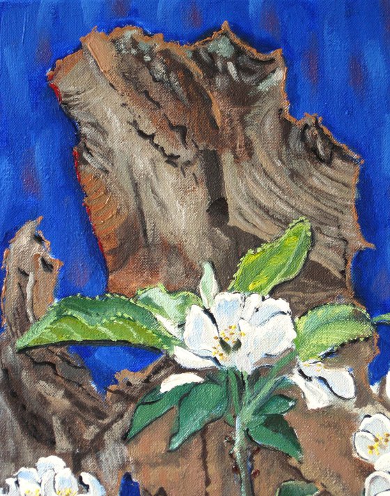 Apple Blossom and Timber