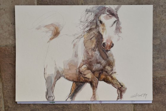 Running  horse study 6