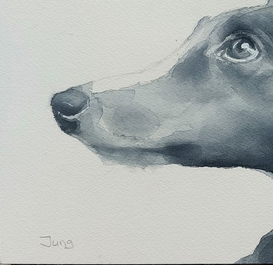 Fetch - dog portrait