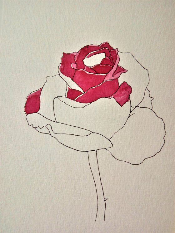 RED ROSE II