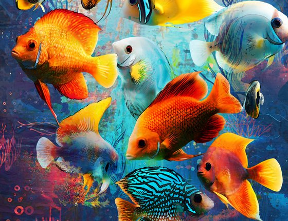 Red Sea Fishes