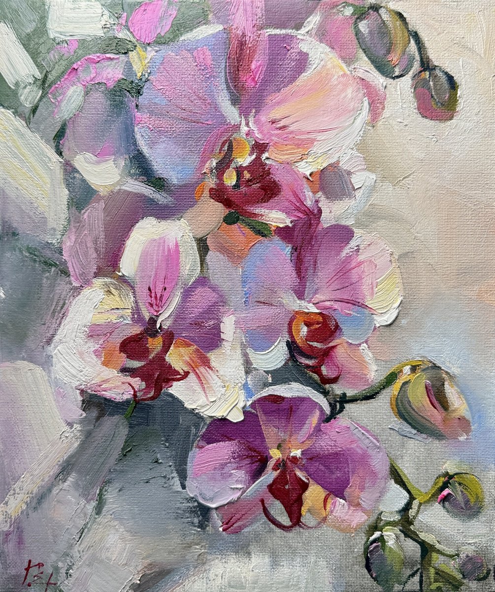 Pink Orchid By Olena Hromova, 10 X 12, Artwork For Sale On Artfinder