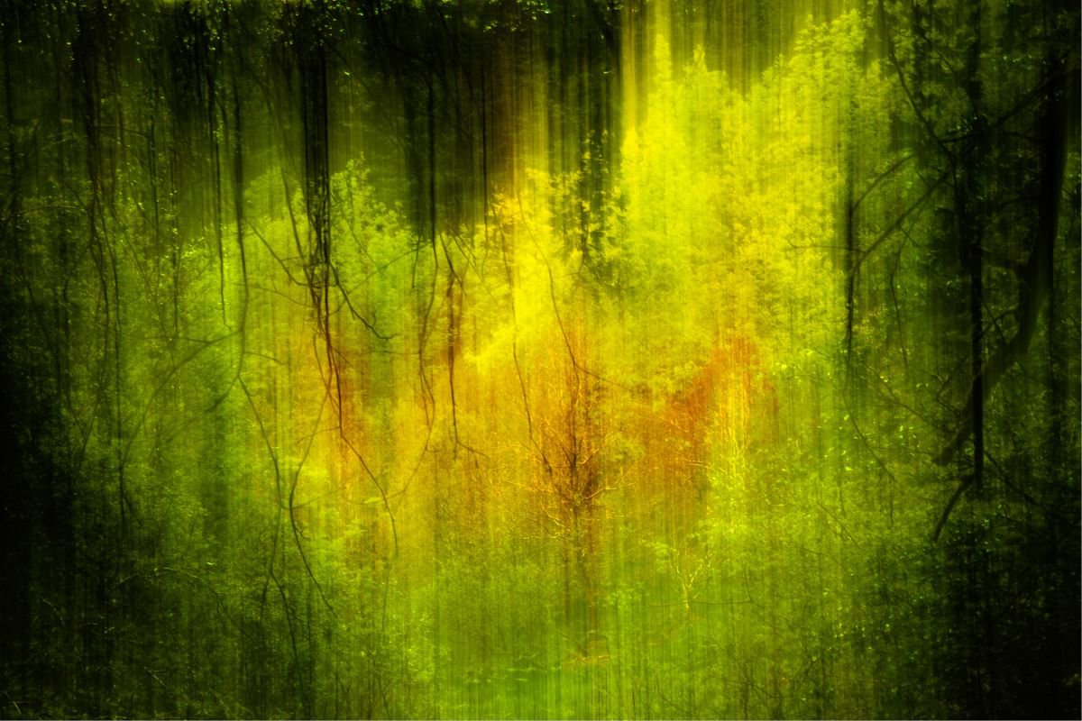 In my dreams - Forest Abstract Extra large landscape CANVAS by Lynne Douglas