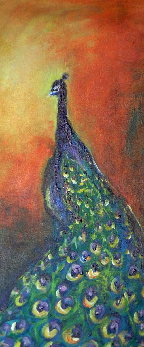 Peacock 1 - 24x14 by BenWill