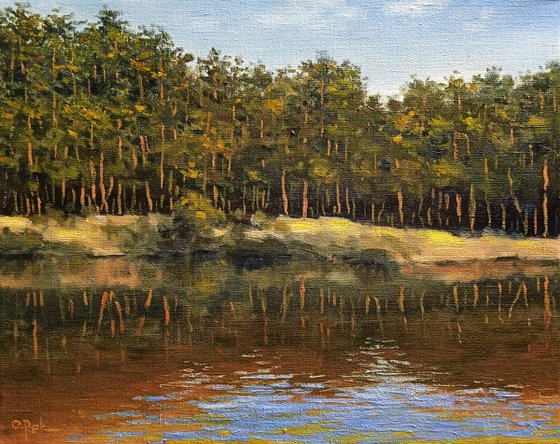 Pines on the shore