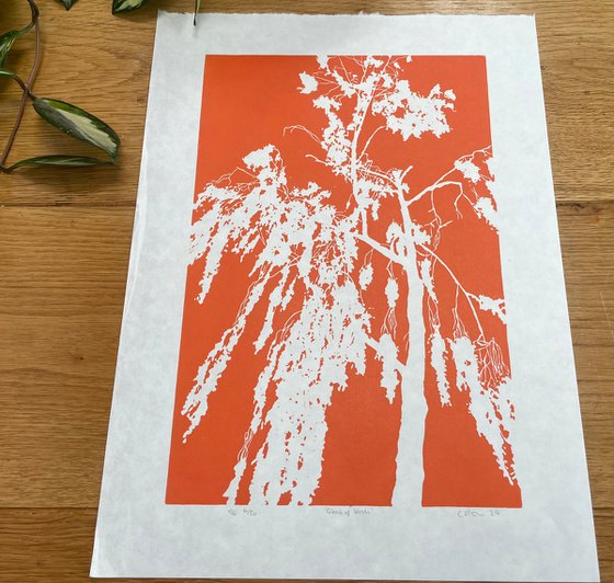 Birch Tree Linocut Print