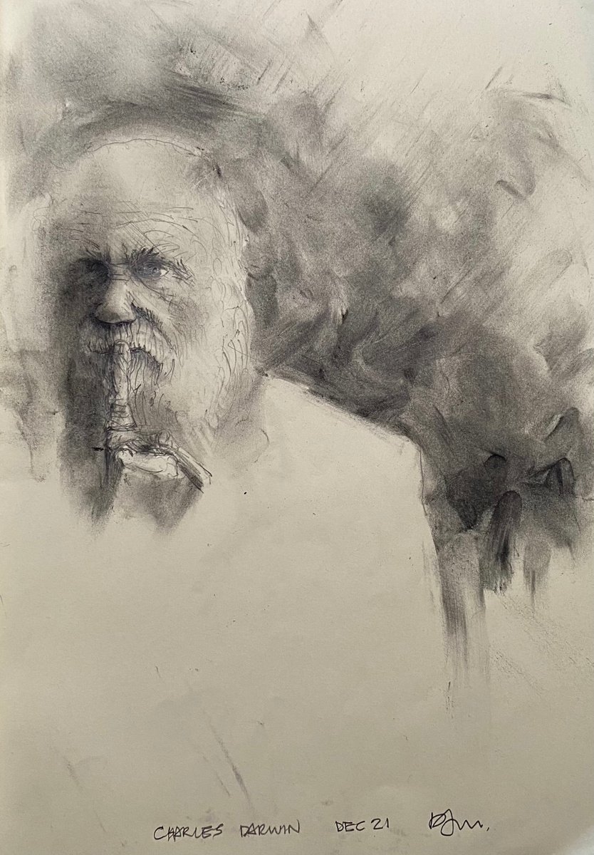 Charles Darwin- by Paul Mitchell