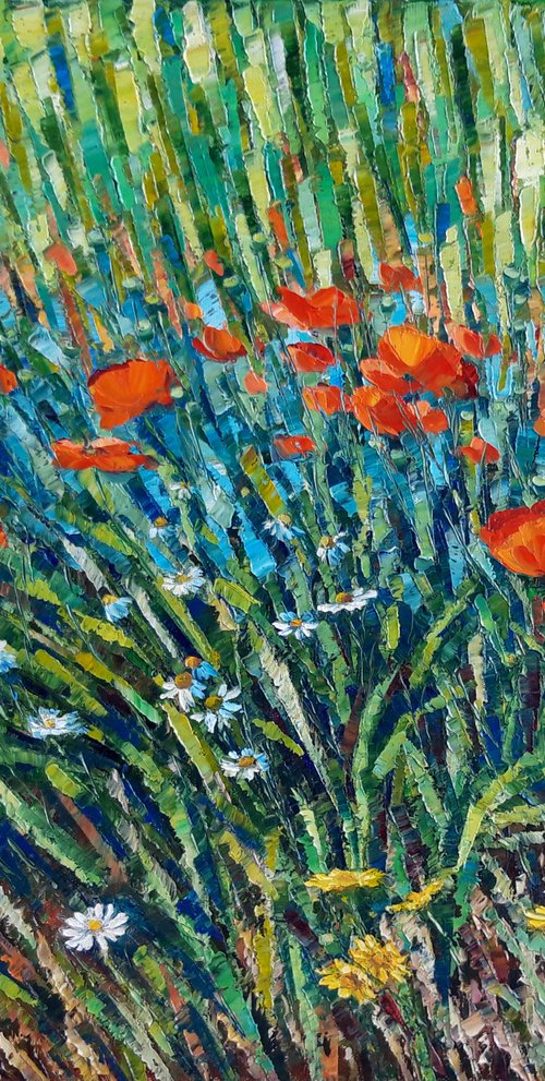 Poppies and marguerites by Irena Heinz