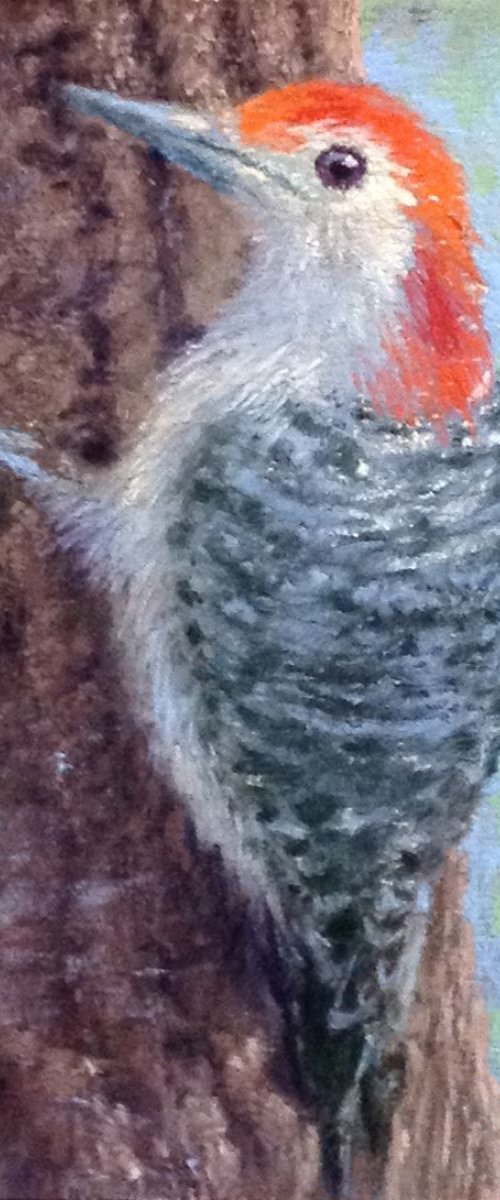 Woodpecker by Tatiana Roulin