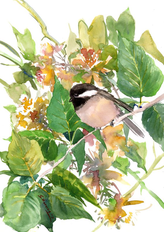 Chickadee in the forest
