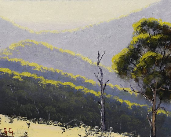 Summer Australian Landscape