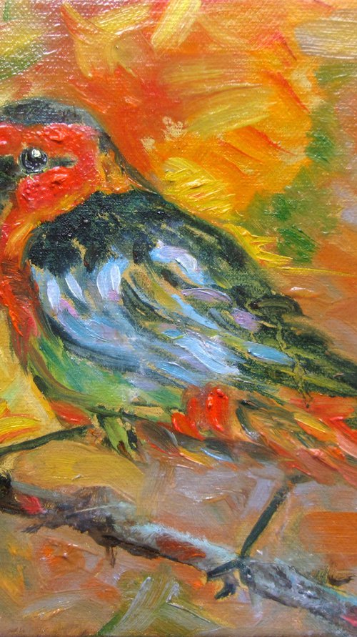 TROPICAL BIRD Painting 6x8 in Oil,Robin Miniature,Little Birdie Art Picture,Delightful Bird Illustration by Katia Ricci