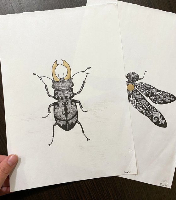 Beetle with golden horns