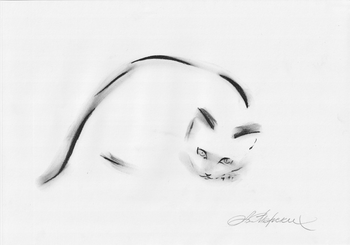 Animal Charcoal Drawing By Anastasia Terskih, 12 X 8, Cat, Original Artwork