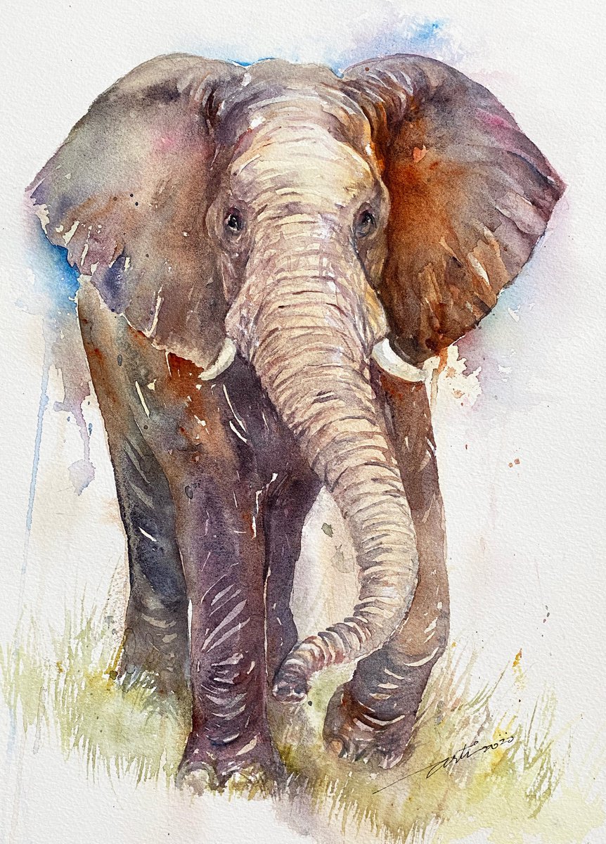 Elora the Elephant by Arti Chauhan