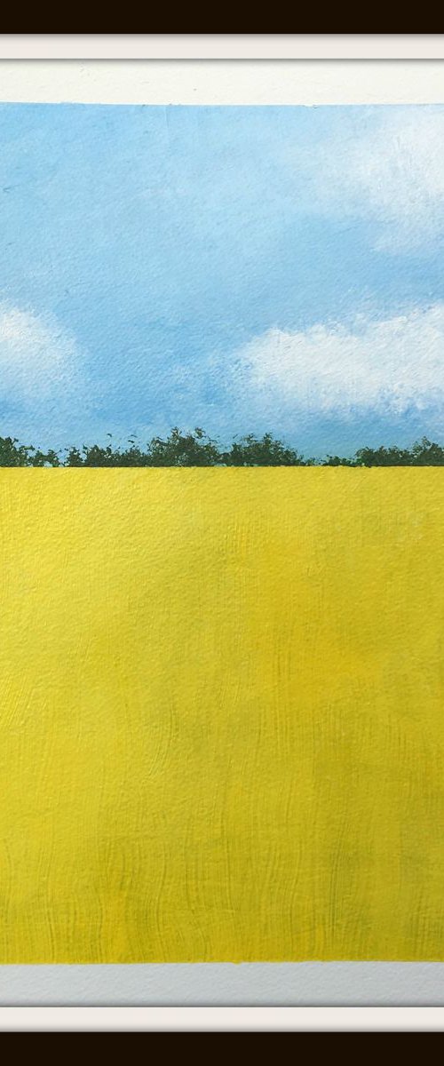 Rapeseed Fields Hampshire II by Jan Rippingham