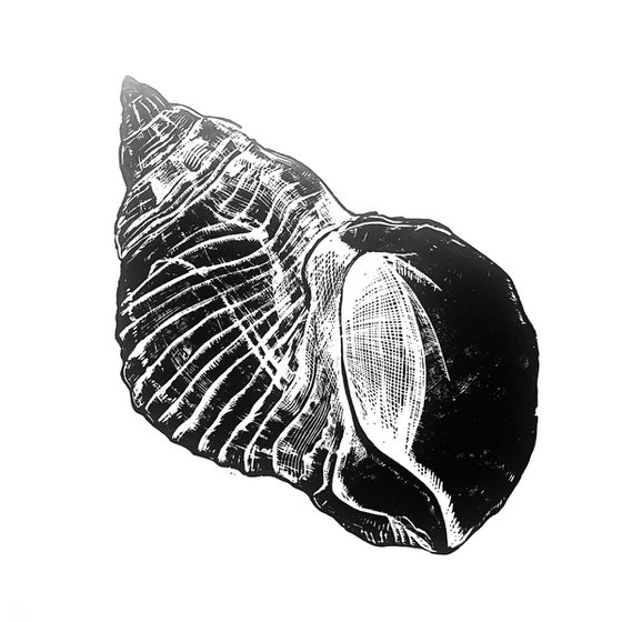 Sea life Triptych II