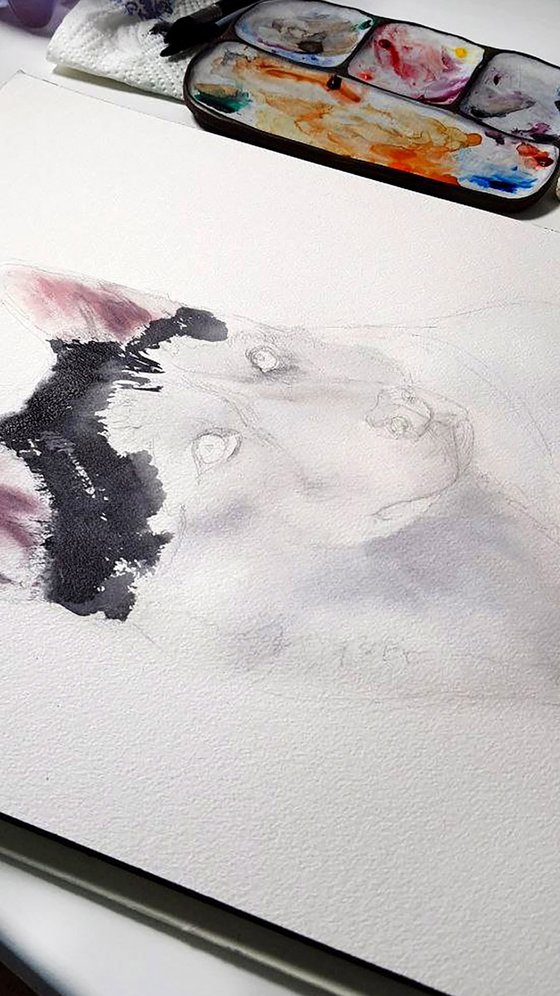 Husky Watercolor Painting - Pet Portrait