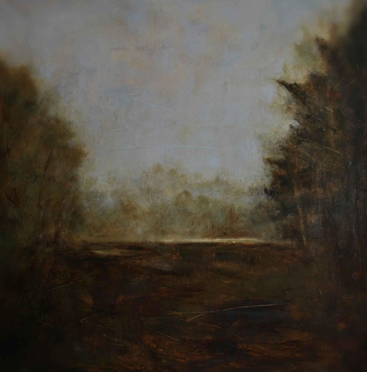 Photorealistic Landscape Oil Painting By Daniela Roughsedge, 20 X 20, The Clearing, Original Artwork
