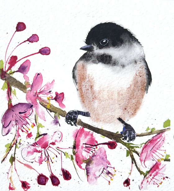 Black-capped chickadee Blossom