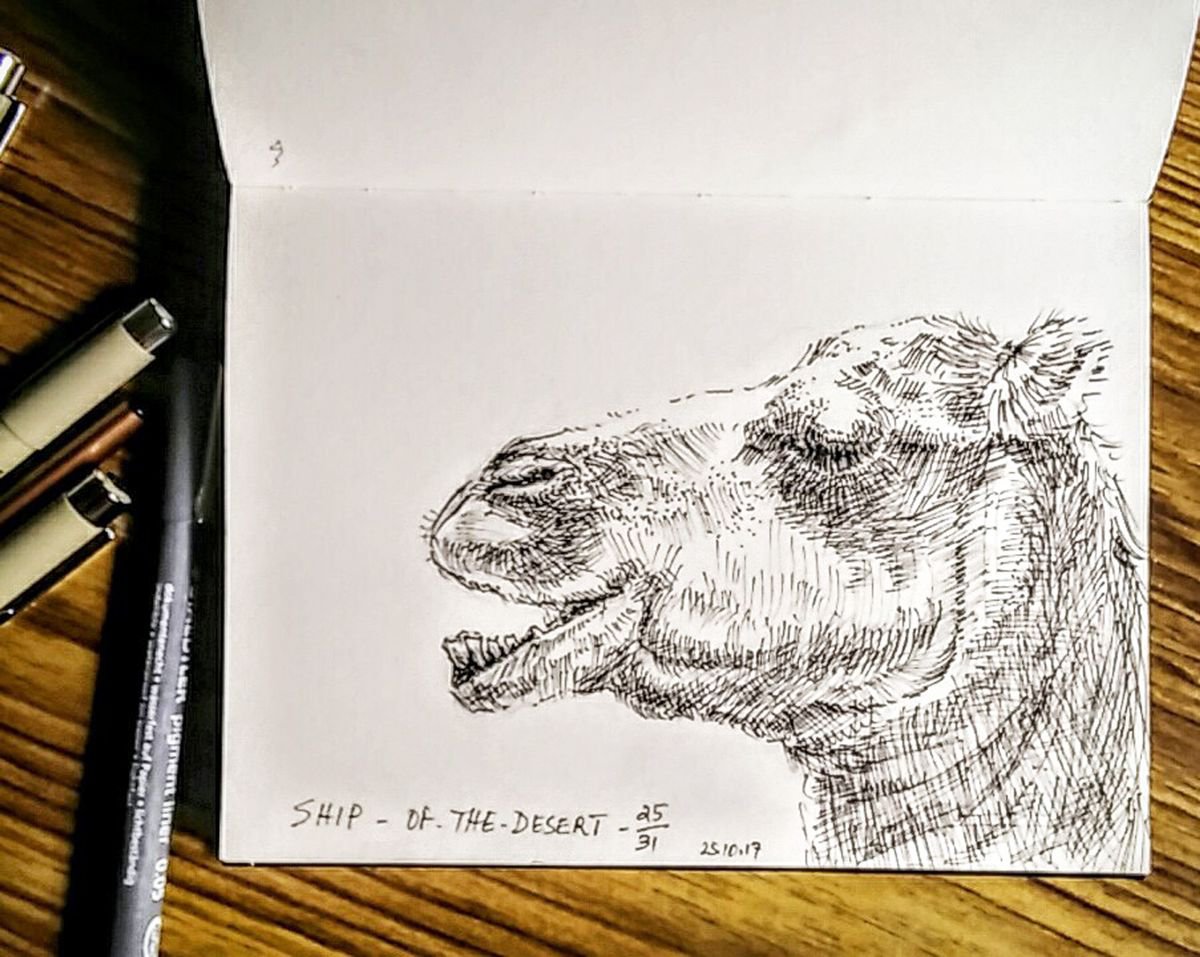 Illustrative Animal Ink Drawing By Asha Shenoy, 5 X 7, Inktober Sketchbook, Original Artwork