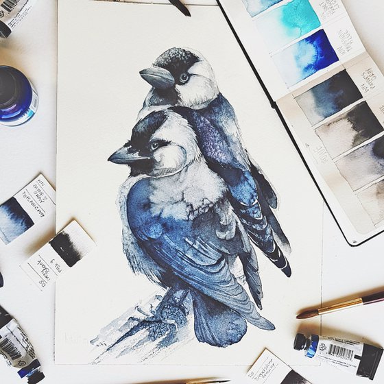 Jackdaw, black bird, wildlife watercolour